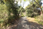 Enlarge photo 46