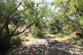 Enlarge photo 47