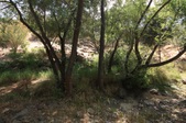Enlarge photo 48