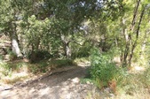 Enlarge photo 49