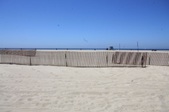 Enlarge photo 51