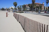 Enlarge photo 54