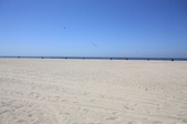 Enlarge photo 57