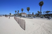 Enlarge photo 63