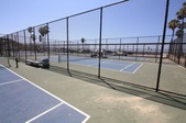 Enlarge photo 65