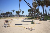 Enlarge photo 96