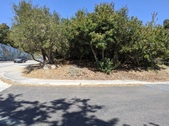 Enlarge photo 42