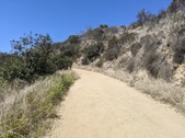 Enlarge photo 30
