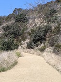Enlarge photo 35
