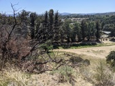 Enlarge photo 28