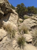 Enlarge photo 31
