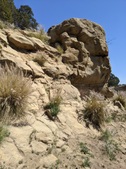 Enlarge photo 32