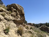 Enlarge photo 33