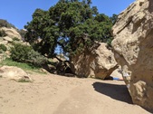 Enlarge photo 35