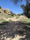 Enlarge photo 38