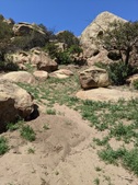 Enlarge photo 39
