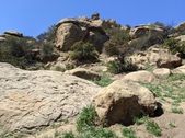 Enlarge photo 40