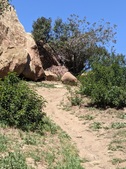 Enlarge photo 41
