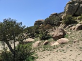 Enlarge photo 43