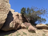 Enlarge photo 44
