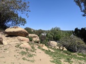 Enlarge photo 45