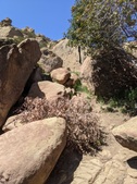 Enlarge photo 46