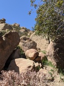Enlarge photo 47