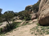 Enlarge photo 48