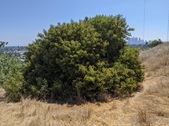 Enlarge photo 18