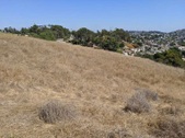 Enlarge photo 33
