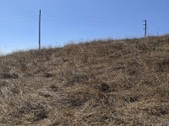 Enlarge photo 35