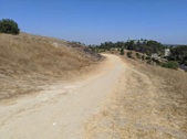 Enlarge photo 37