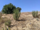 Enlarge photo 39