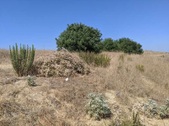 Enlarge photo 40