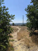 Enlarge photo 41