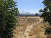 Enlarge photo 42