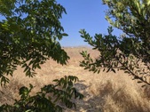 Enlarge photo 44
