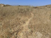 Ascot Hills