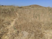 Enlarge photo 46