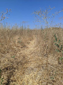 Enlarge photo 47