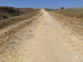 Enlarge photo 48