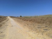 Enlarge photo 49