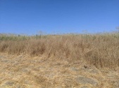 Enlarge photo 51