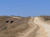Enlarge photo 52