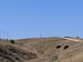 Enlarge photo 53