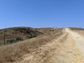 Enlarge photo 54