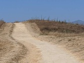 Enlarge photo 55