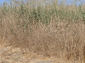Enlarge photo 56