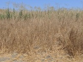 Enlarge photo 57