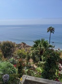 Enlarge photo 45